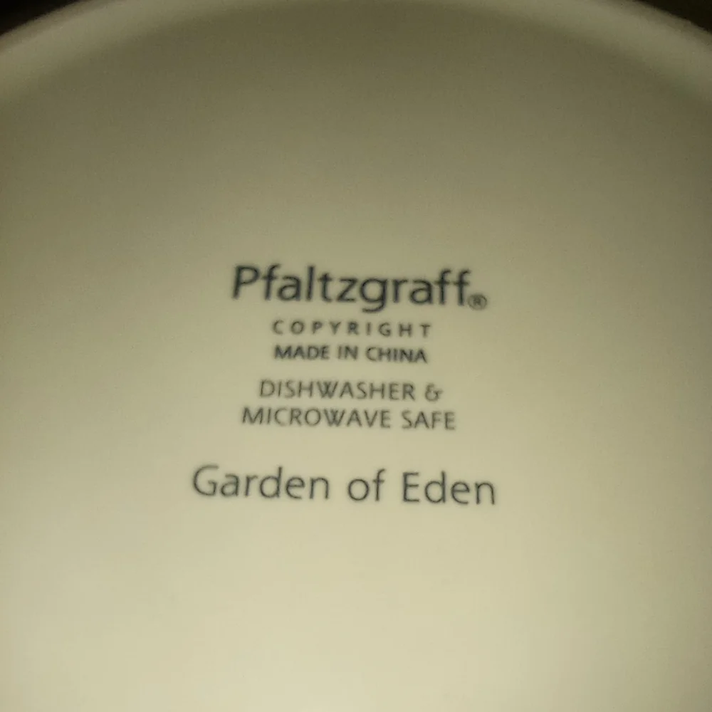 Pfaltzgraff Garden of Eden Oval Steak Platter